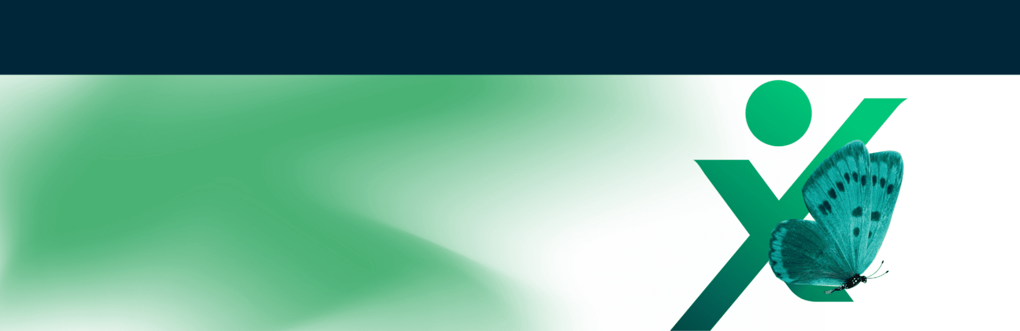 2019 Biba diary header image